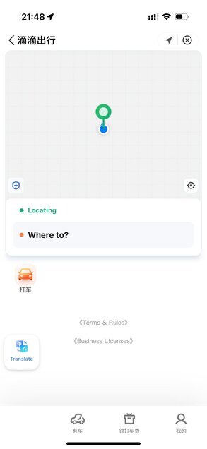 Translation integration